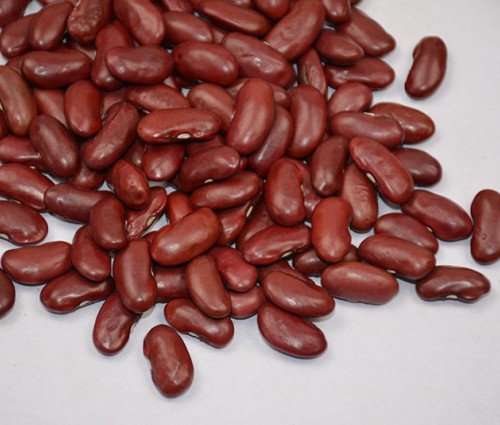 紅蕓豆/Kidney beans